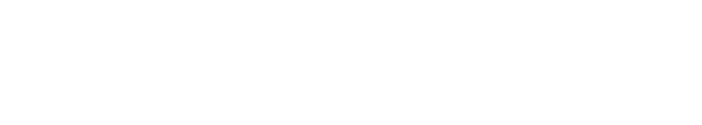 Nurtured Heart Foundation logo
